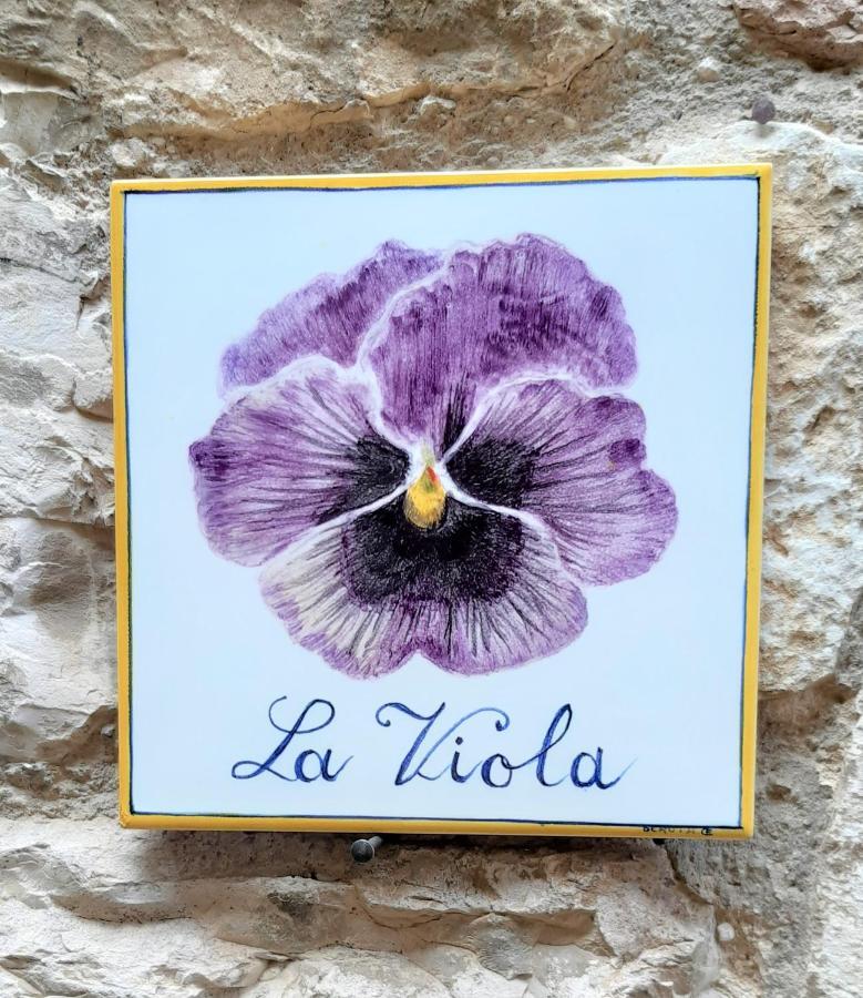 Hotel La Viola Di Assise Extérieur photo